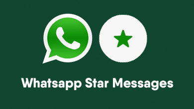 whatsapp-update-star-messages-google-drive-backup