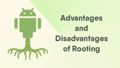 advantages-disadvantages-rooting