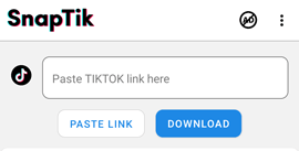 how-access-tiktok-download-videos-3
